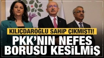 Kılıçdaroğlu'nun karşı çıktığı kayyum gerçekleri! PKK'nın nefes borusunu kesti