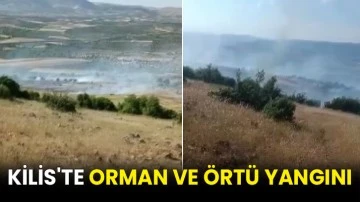 Kilis'te orman ve örtü yangını