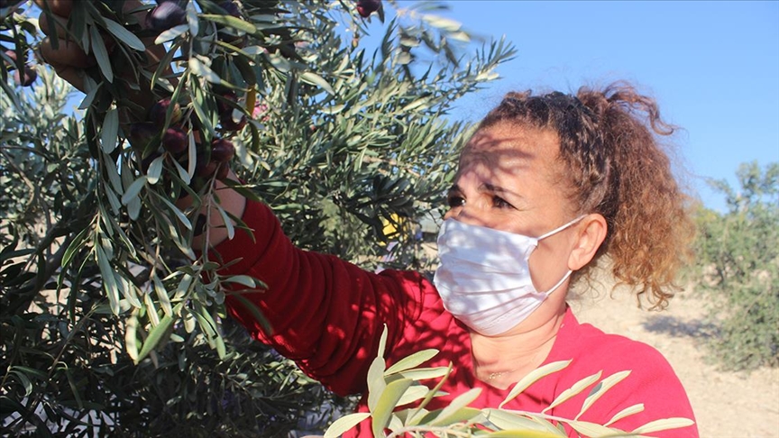Kilisli kadın girişimcinin zeytinyağında ihracat başarısı