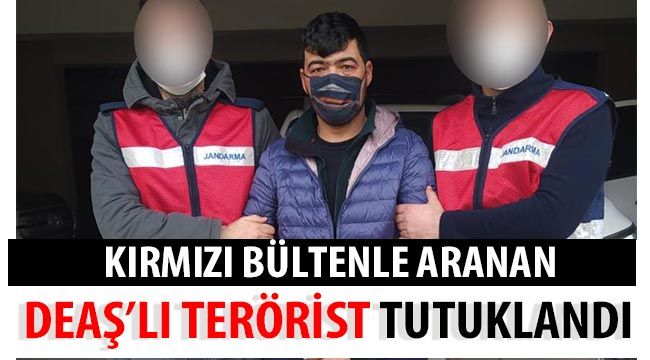 Kırmızı Bültenle aranan DEAŞ’lı terörist tutuklandı 