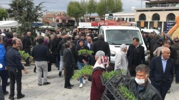 Kırşehir'de yerli tohumu teşvik için 84 bin sebze fidesi dağıtıldı