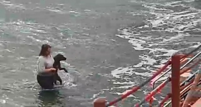 Kıyafetleri ile denize girip köpeği ölmekten kurtardı