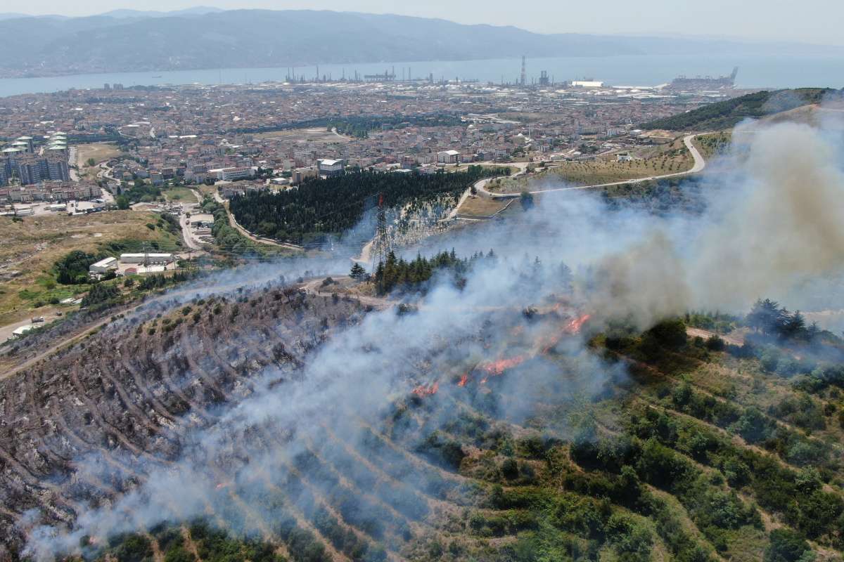Kocaeli'de orman yangınlarını önlemek için bir yasak daha geldi