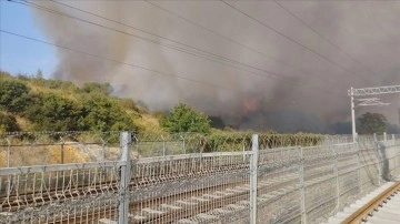 Kocaeli'de TÜBİTAK yerleşkesindeki orman yangınına müdahale ediliyor