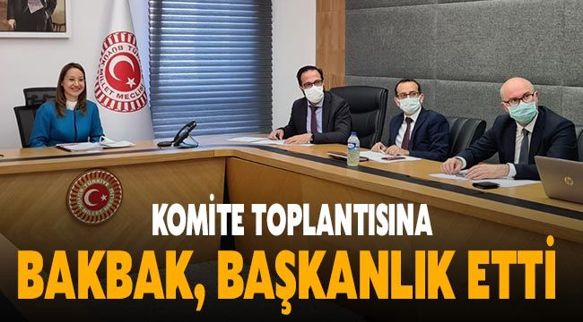 Komite Toplantısına Bakbak, başkanlık etti 