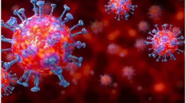Koronavirüse karşı yeni ilaç: Yüzde 99 başarı sağlandı, yeni belirtiler açıklandı