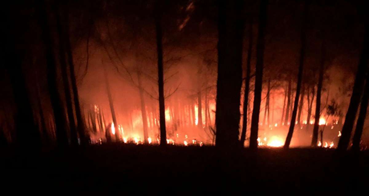 Kozan'da orman yangını kontrol altına alındı