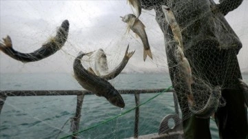 K&uuml;&ccedil;&uuml;k &ouml;l&ccedil;ekli balık&ccedil;ılara destek &ouml;demeleri artırıldı