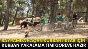 Kurban yakalama timi göreve hazır