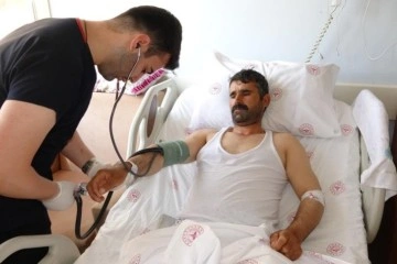 Kurbanlık seçerken hayvan tepti: Ambulans helikopterle Van’a getirildi