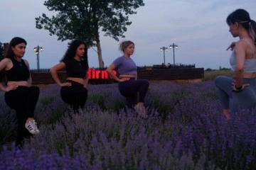 Lavanta tarlasında gün batımı eşliğinde yoga