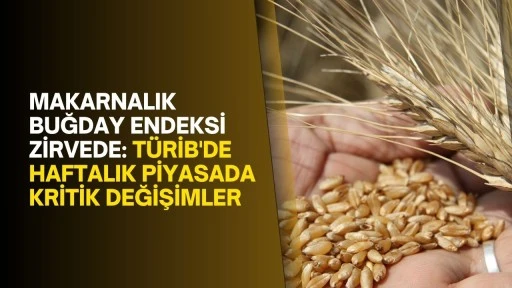 Makarnalık Buğday Endeksi Zirvede: TÜRİB'de Haftalık Piyasada Kritik Değişimler