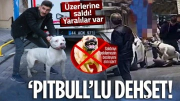 Malatya'da pitbull'lu kavga: 3 yaralı