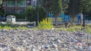 Malatya'da depremde aldığı hasar nedeniyle yıkılan binanın arazisinde ayçiçekleri açtı