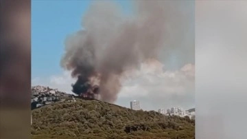 Maltepe'de ormanlık alanda yangın çıktı