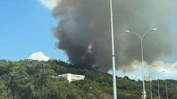 Maltepe'deki orman yangınıyla ilgili 2 kişi gözaltına alındı
