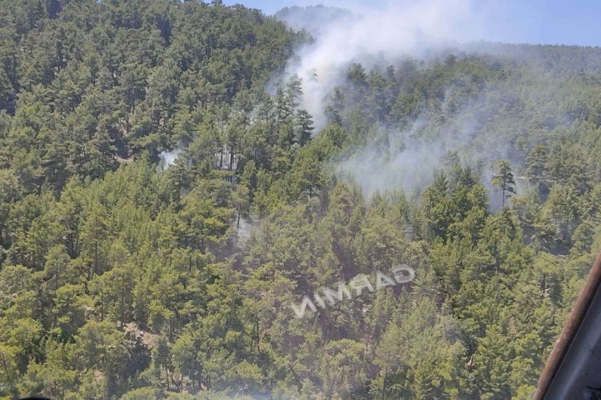Manavgat'ta çıkan yangında 2 dönümlük kızılçam ormanı zarar gördü