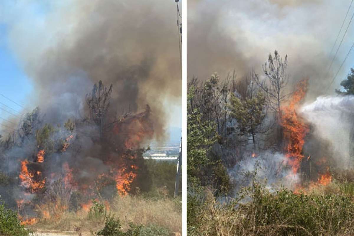 Manavgat'ta çıkan yangında 5 dönüm ormanlık alan zarar gördü