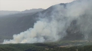 Manavgat'ta orman yangını çıktı