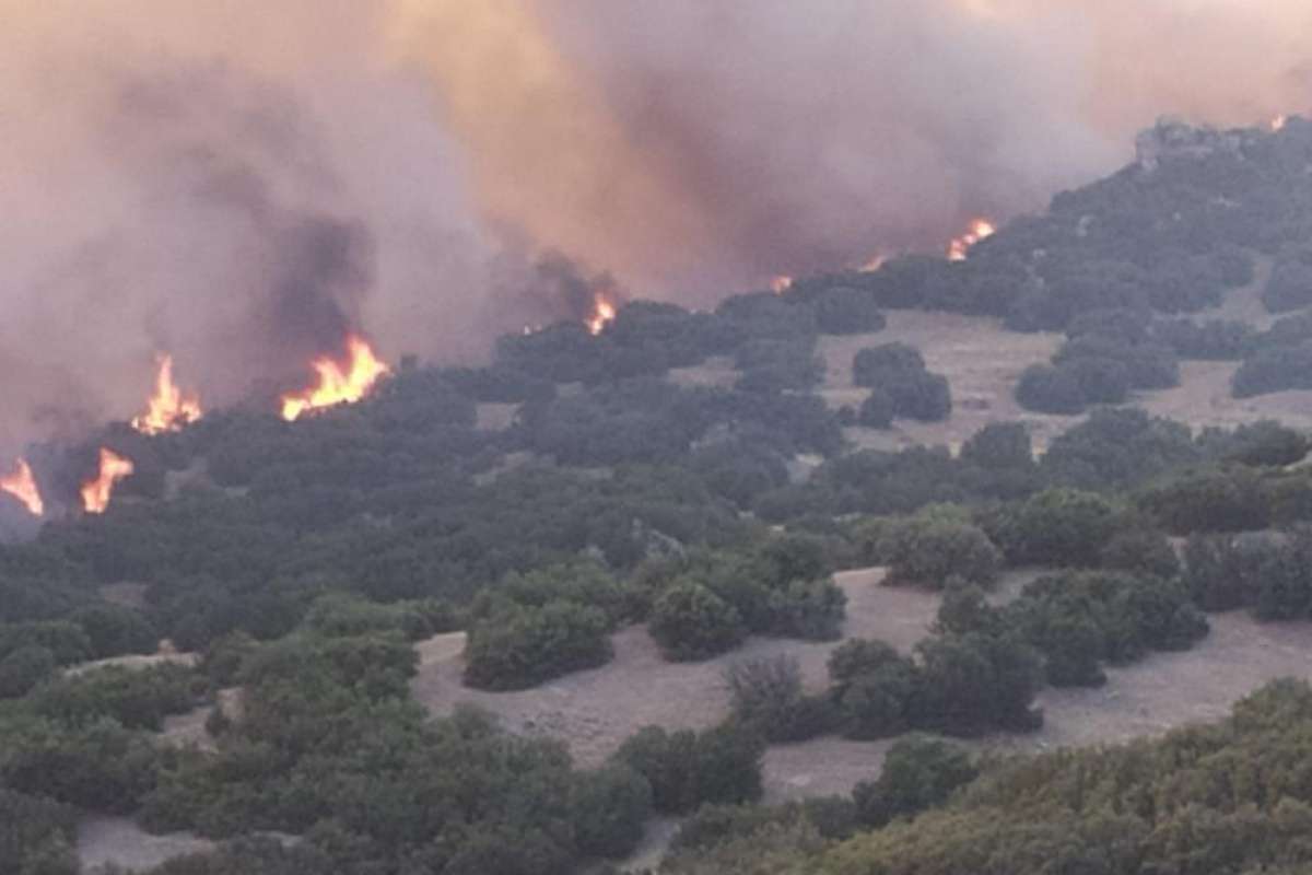 Manisa Büyükşehir Belediyesi ve MASKİ, Denizli'deki orman yangınına müdahalede bulundu