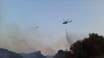 Manisa'da makilik alandaki yangın kontrol altına alındı