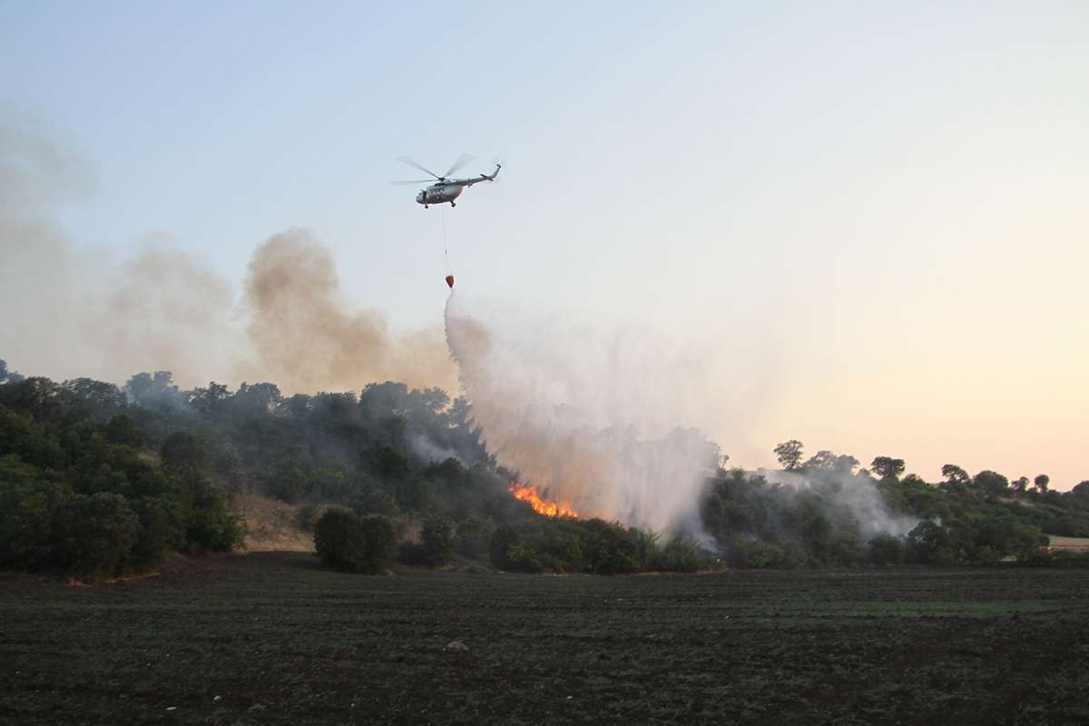 Manisa'da ormanlık alanda 6 farklı noktada yangın