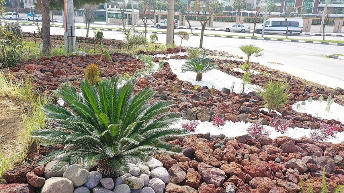 Manisa'da su tasarrufu için uygulanan 'kaya bahçeleri' yaygınlaşıyor