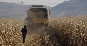 Mardin'de kuraklık rekolteyi y&uuml;zde 50 oranında d&uuml;ş&uuml;rebilir