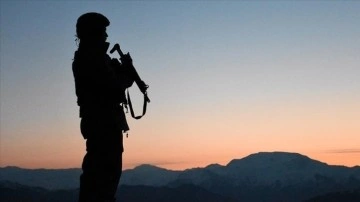 Mardin'de terör örgütü PKK/KCK'ya yönelik operasyonda 1 kadın terörist etkisiz hale getiri