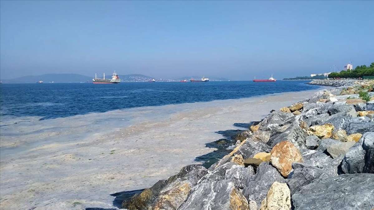 Marmara Denizi'nin müsilajdan kurtarılması için 'acil eylem planı'nın uygulanması öne