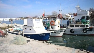 Marmara'da hamsi avcılığının durdurulması sektörde olumlu karşılandı