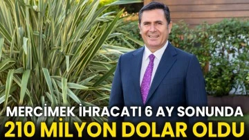 Mercimek ihracatı 6 ay sonunda 210 milyon dolar oldu
