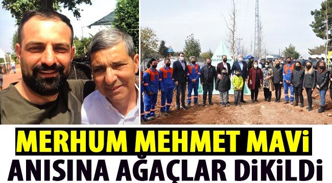 Merhum Mehmet Mavi anısına ağaçlar dikildi