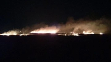 Mersin'de Göksu Deltası'nda çıkan yangın kontrol altına alındı