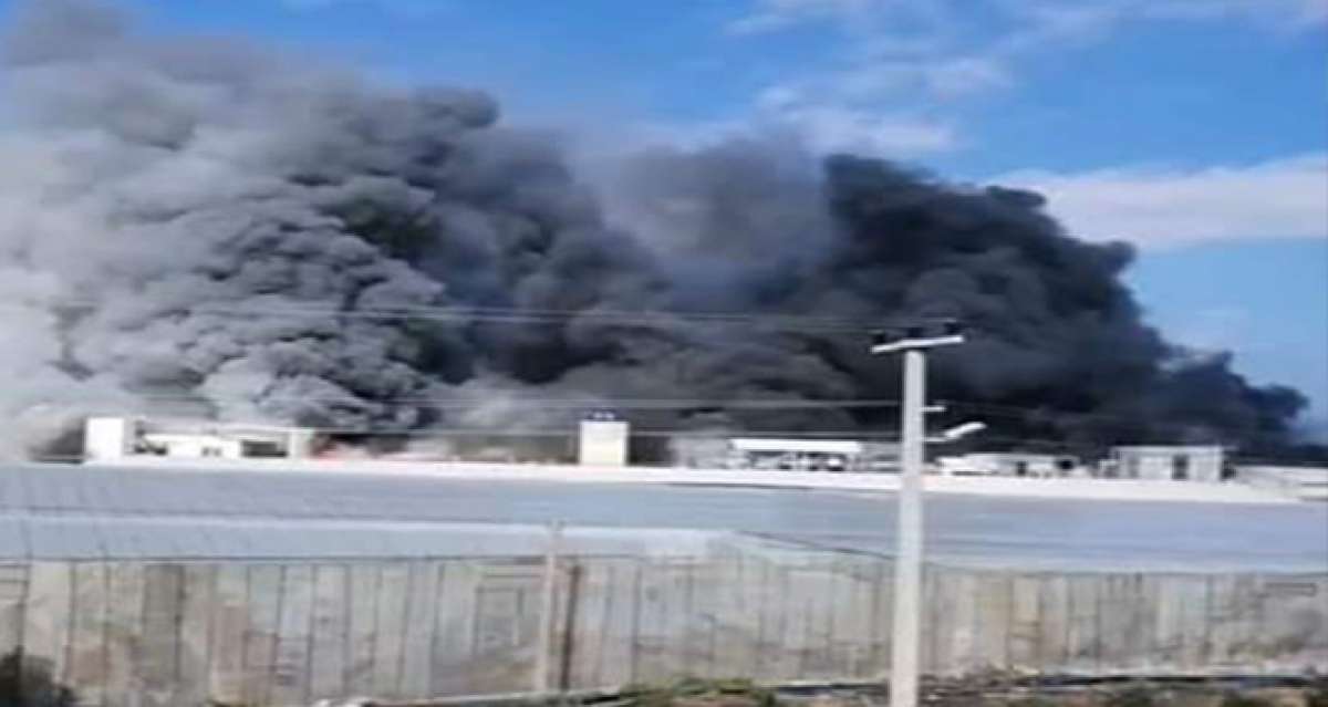 Mersin'de muz sarartma tesisinde yangın