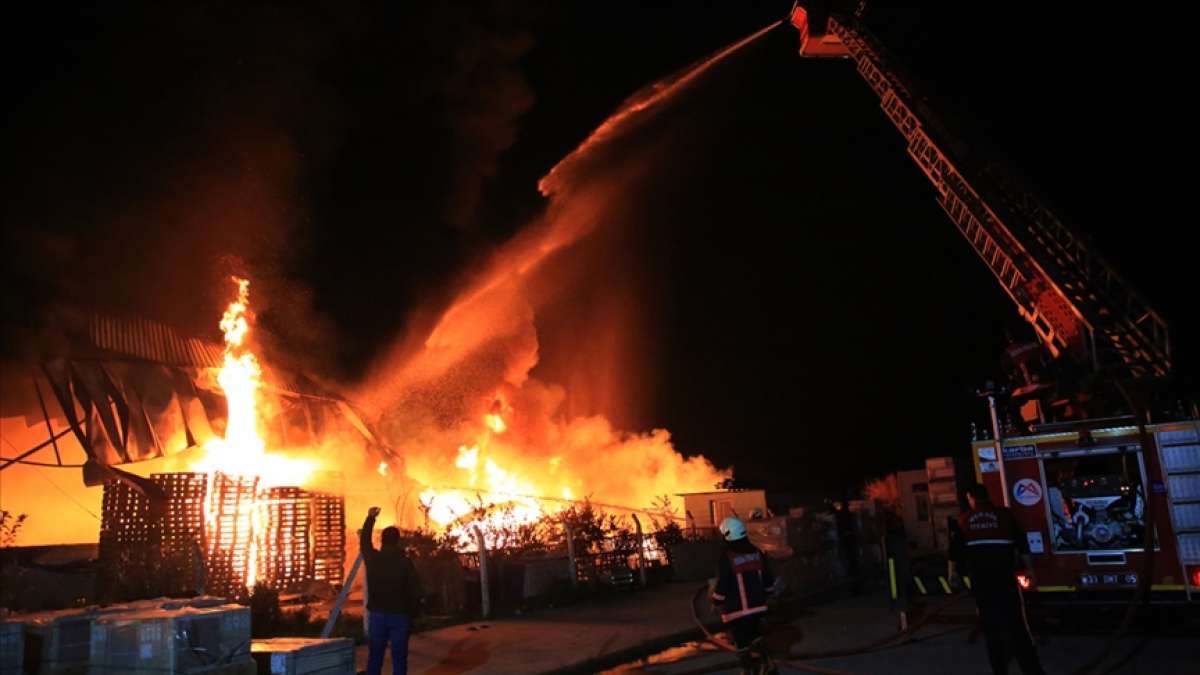 Mersin'de narenciye paketleme fabrikasında çıkan yangına müdahale sürüyor