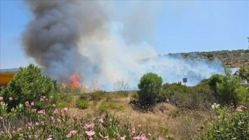 Milas-Bodrum Havalimanı yolunda ormanlık alanda çıkan yangına müdahale ediliyor
