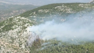 Milas'ta ormanlık alanda yangın başladı