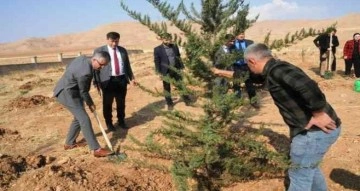 ’Milli Ağaçlandırma Günü’nde Cizre’de 11 bin fidan toprakla buluştu