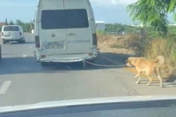 Minibüsün arkasına bağlanan köpeği zorla götüren sürücüye adli işlem