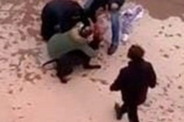Minik Asiye’ye pitbull saldırısında tutuklama sayısı 5’e çıktı