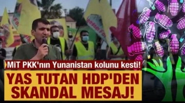 MİT PKK'nın Yunanistan kolunu kesti! Yas tutan HDP'den skandal mesaj