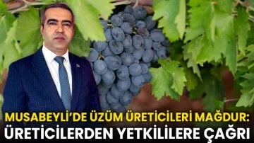 Musabeyli’de Üzüm Üreticileri Mağdur: Dernekten Yetkililere Çağrı