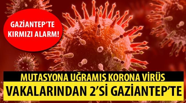 Mutasyona uğramış korona virüs vakalarından 2'si Gaziantep'te 