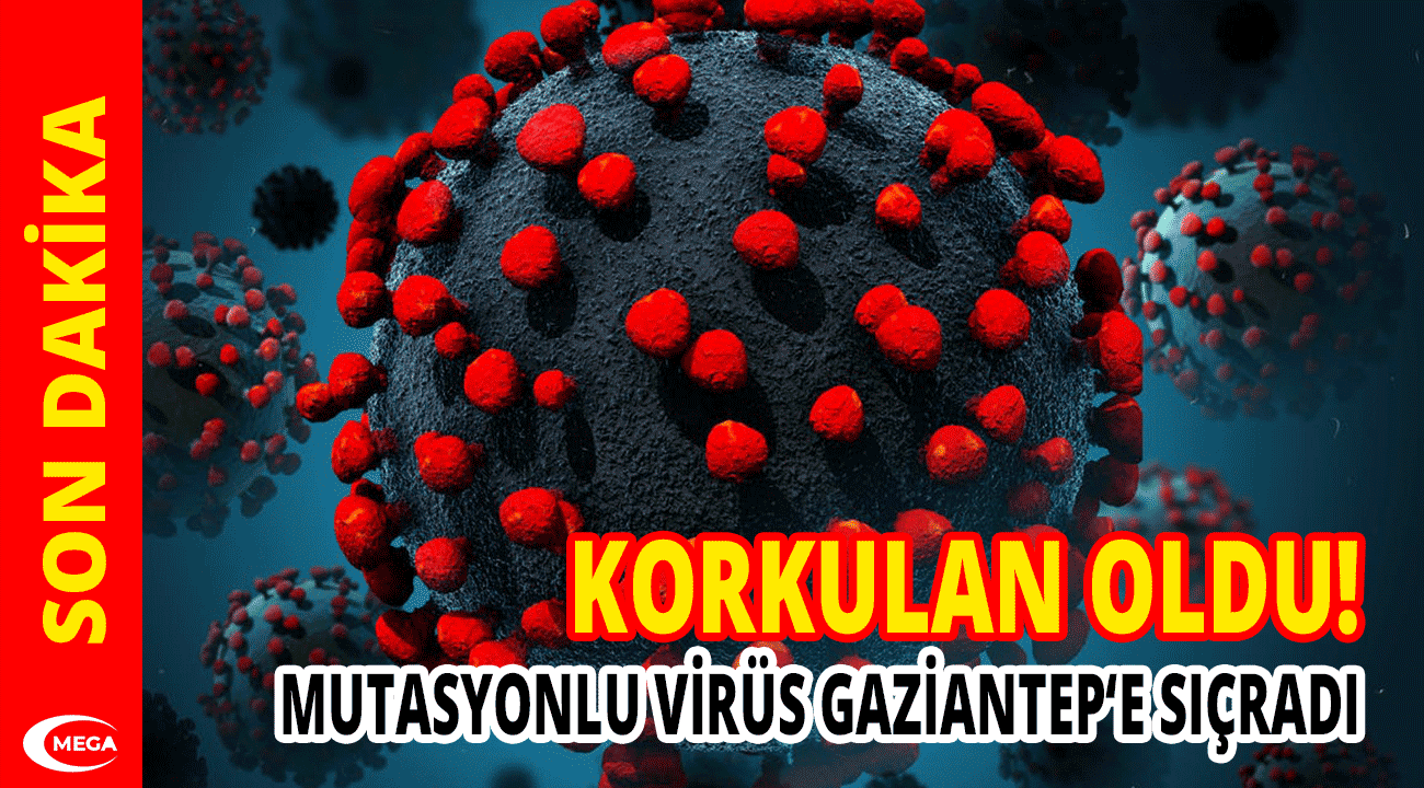 Mutasyona uğramış virüs Gaziantep'e de sıçradı