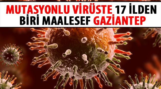 Mutasyonlu virüste 17 ilden biri maalesef Gaziantep