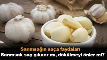 Sarımsak sa&ccedil; sağlığı i&ccedil;in olduk&ccedil;a faydalı olan s&uuml;lf&uuml;r a&ccedil;ısından son derece zengindir. S&uuml;lf&uuml;r, sa&ccedil; &uuml;retimi i&ccedil;in gerekli olan keratin dahil bir&ccedil;ok proteinin yapısal bir par&ccedil;asıdır. Sarımsakta bulunan selenyum sa&ccedil; sağlığın?