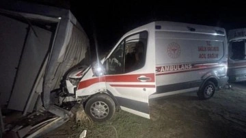 Nevşehir'de içinde hasta bulunan ambulansı kaçıran şüpheli kaza yapınca yakalandı