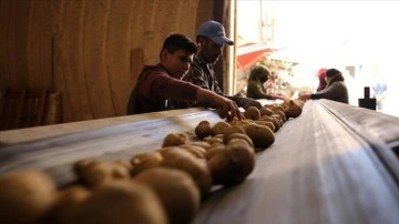 Nevşehir'deki depolarda yerini alan patateste tedarik sorunu öngörülmüyor