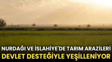 Nurdağı ve İslahiye'de tarım arazileri devlet desteğiyle yeşilleniyor